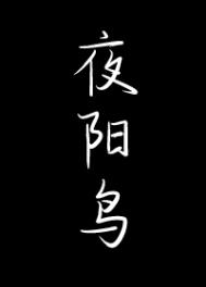 夜流风小说