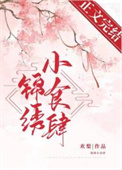 锦绣官途小说
