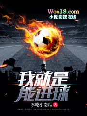 小说我就是能进球